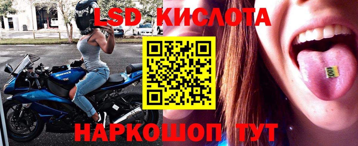 как найти наркотики  Марки N-bome 1,8мг  Вход с VPN  Новотроицк 