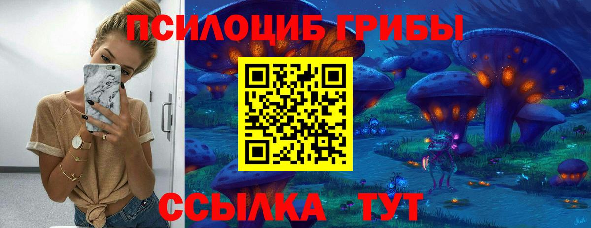 Галлюциногенные грибы Magic Shrooms  купить наркотик  Новотроицк  Галлюциногенные грибы мицелий  Вход с VPN 